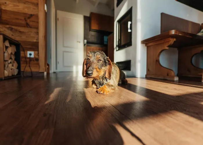 Casa vacanze In Mit Garten Schierke